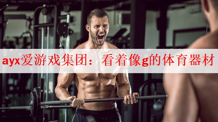 <strong>ayx爱游戏集团：看着像g的体育器材</strong>