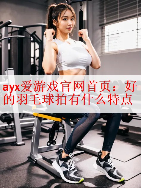 ayx爱游戏官网首页：好的羽毛球拍有什么特点