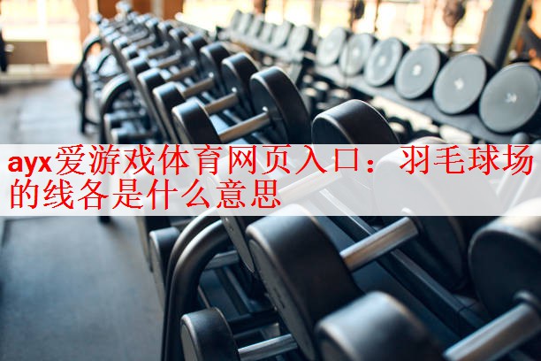 ayx爱游戏体育网页入口：羽毛球场的线各是什么意思