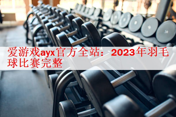 2023年羽毛球比赛完整