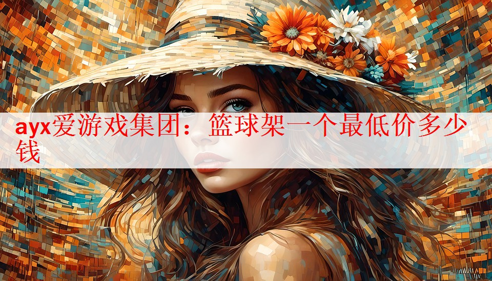 篮球架一个最低价多少钱